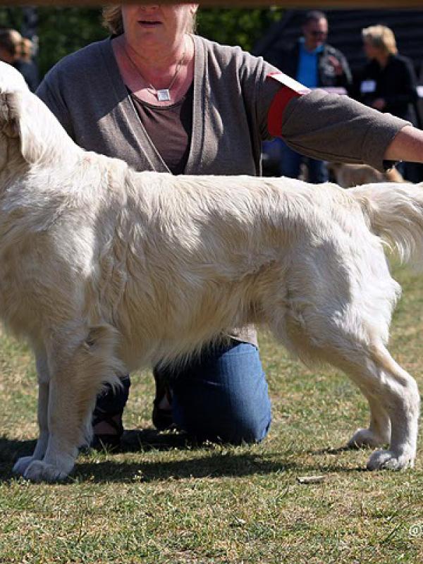 01/05/2011 BRC Gierle 3th  Intermediaire Viv Jones GB