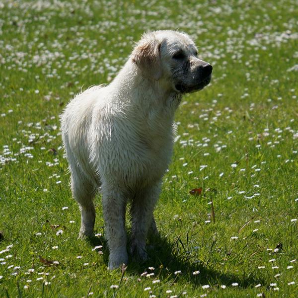 10 months - I'm always dirty !!