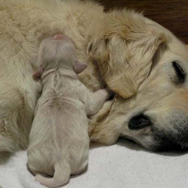 2 days - with her mother Donna