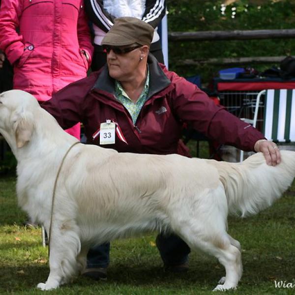 Dempsy on the show in Schloss Aigain-Saltzburg