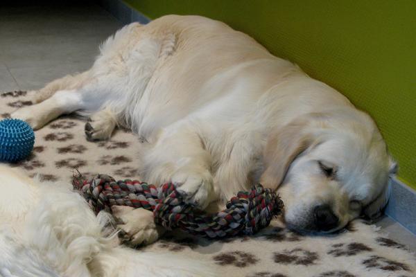 Don't touch it while I sleep