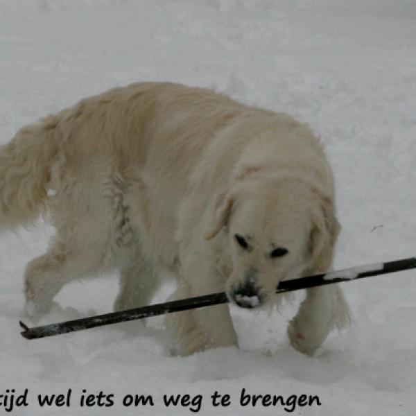 Kate werkt graag hé