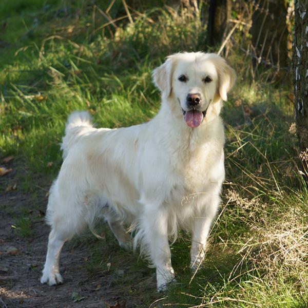 MADDE - Take that picture