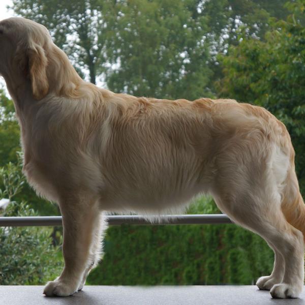 Sequins Scents - Jill - 6 months