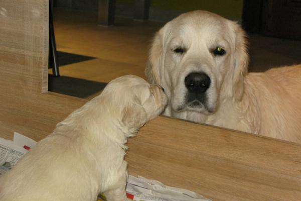 Wat wil die eigenlijk van mij ???