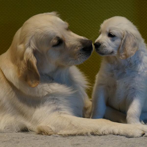 With his daughter Lex
