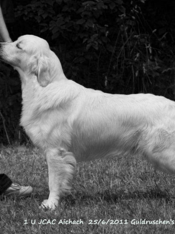 Zijn tweede CAC is binnen